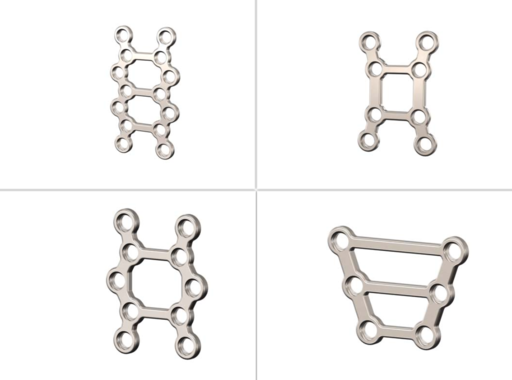 Sternal Plate